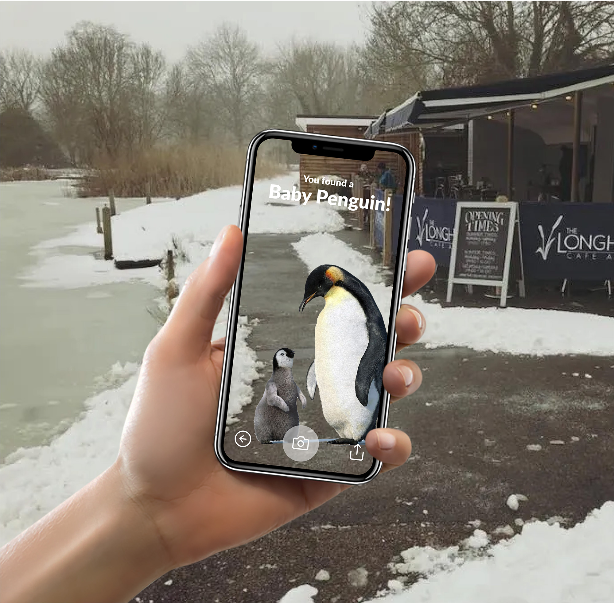 Mother and child penguin Longholme AR