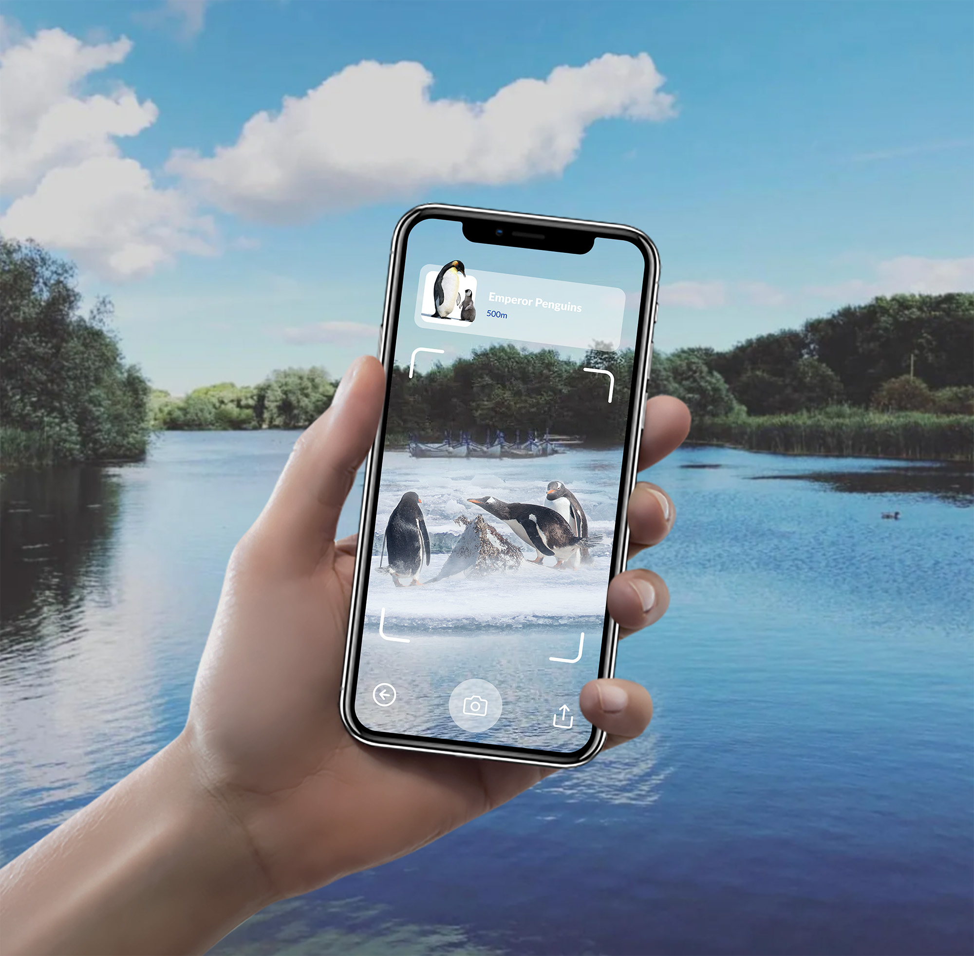 Penguins on an island Longholme AR